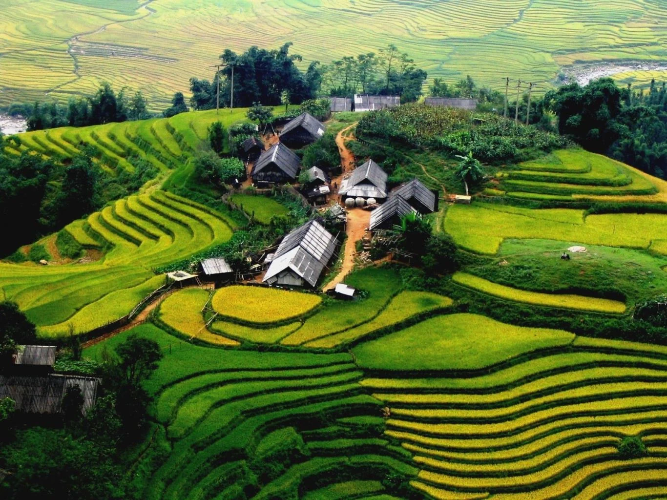 Terraced fields in the Sapa area